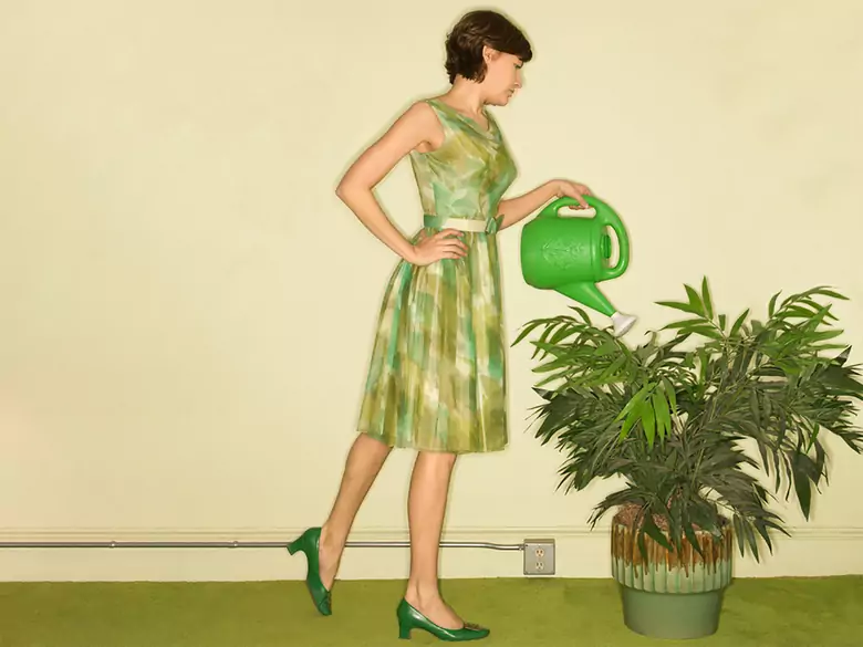 Des fleurs à la maison