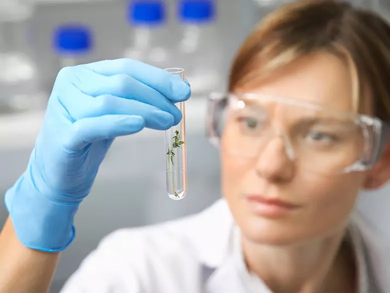 Animaux résistants au cancer