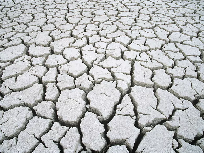 2ème édition du festival Okno na Świat à Bytom