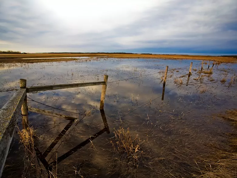 Inondations et risque épidémiologique