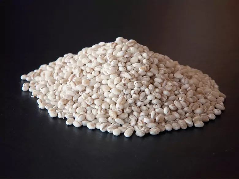 Quel est le riz le plus sain pour nous ?