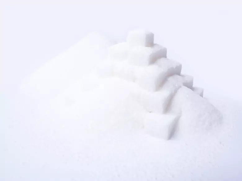 Diabète de type 1 et bactéries gastro-intestinales ?