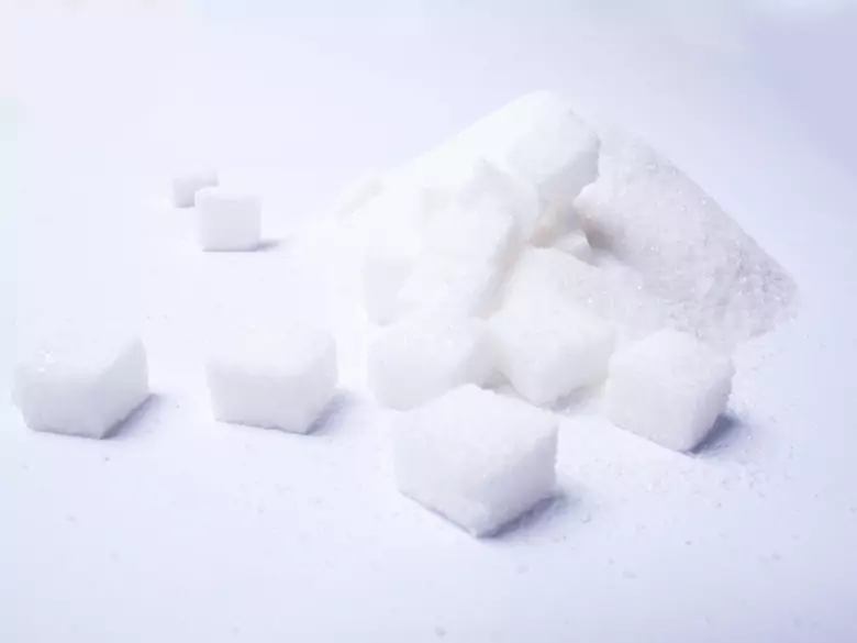 Le glucose et plus encore... Comment fonctionne notre corps ?