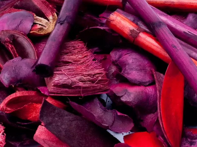 Cannelle, clous de girofle, cardamome - des stimulants immunitaires pour l'hiver