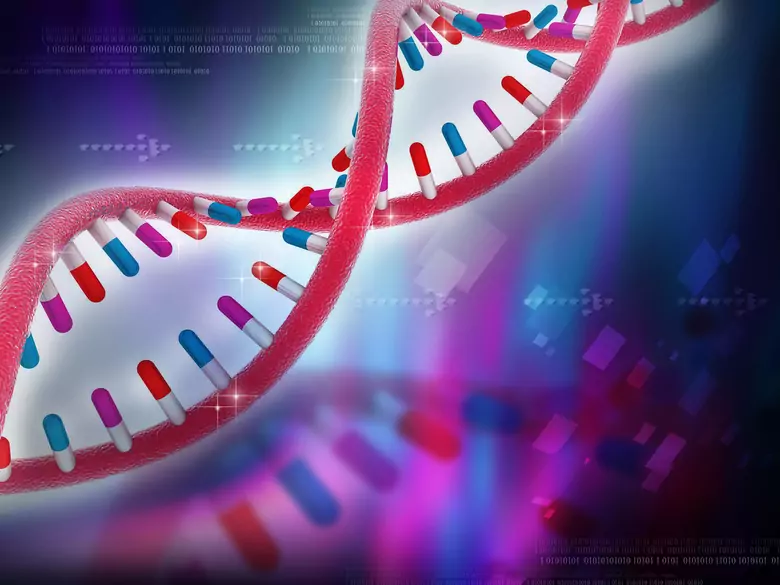 Que sont les syndromes d'Edwards, de Patau et de Down ?