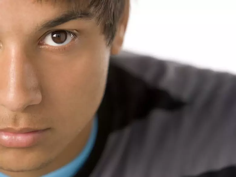 Qu'est-ce que le lambdis ?