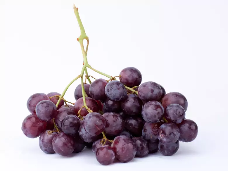 Le glucose comme source de glucides dans l'alimentation des enfants