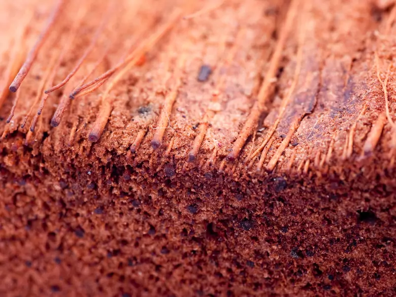 Kératose folliculaire - causes, symptômes, diagnostic, traitement