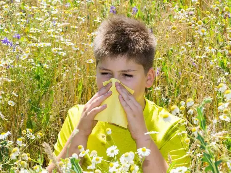 Une préparation antiallergique va disparaître des pharmacies à l'échelle nationale.