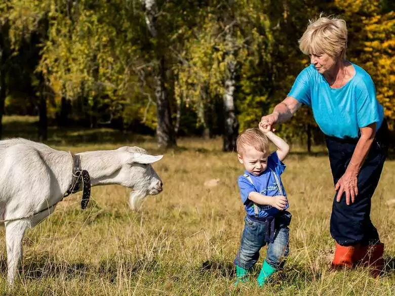 Dépistage des allergies - Que doit-on tester chez votre enfant ?