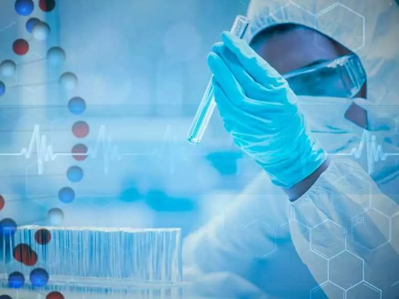 Le colorant de la rhubarbe dans la lutte contre le cancer