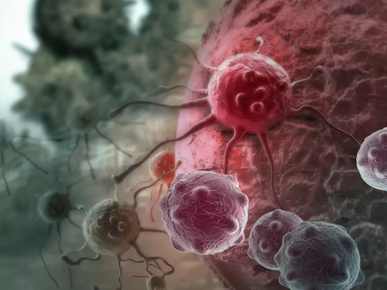 Comment traiter les infections bactériennes ?