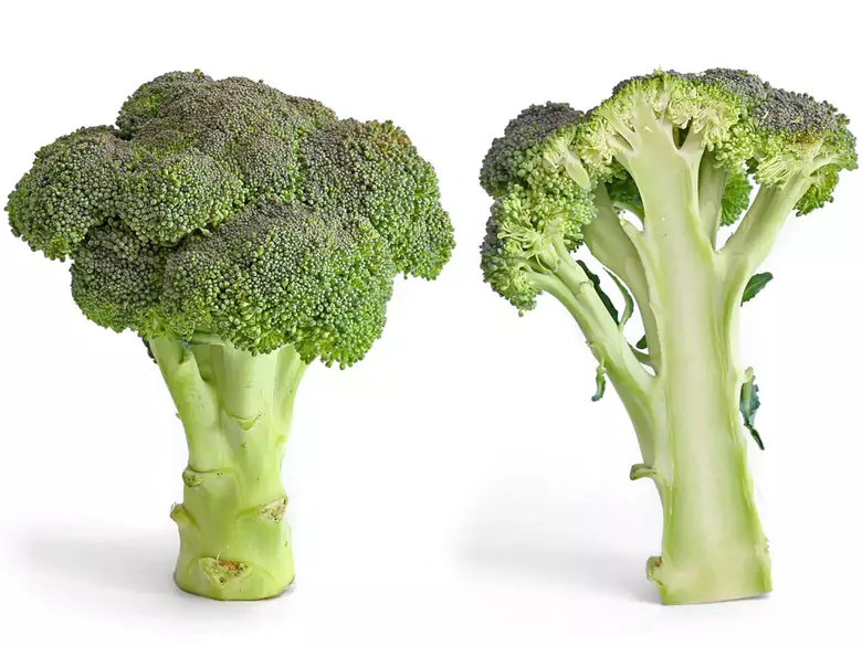 Quels sont les avantages de la consommation de brocoli ?