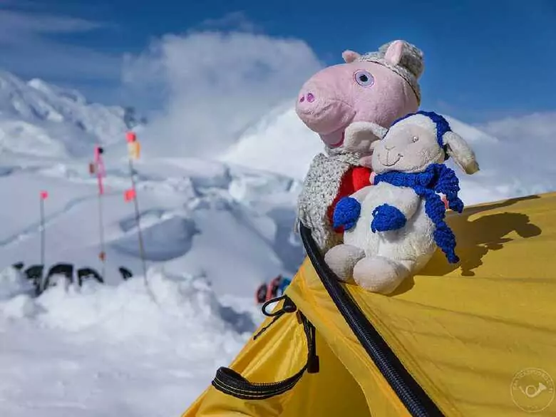 Une expédition de voyageurs dédiée aux enfants atteints d'amyotrophie spinale.