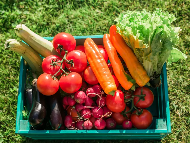 Qu'est-ce que le régime paléo et est-il bon pour la santé ?