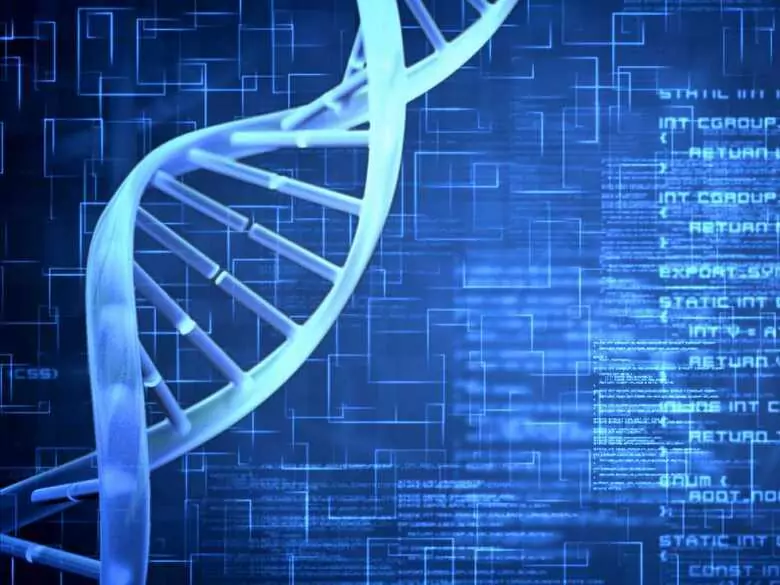 Syndrome d'Ehlers-Danlos - qu'est-ce que la maladie ?