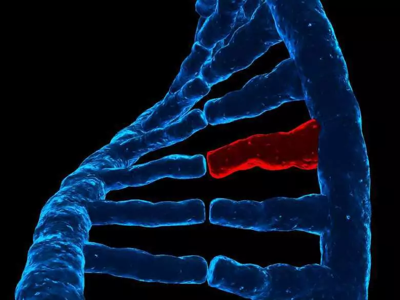La maladie de Charcot et ses conséquences