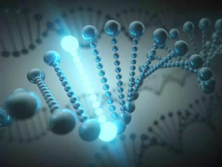 Typologie des maladies génétiques