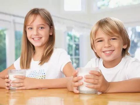 Les prébiotiques - un complément alimentaire moderne