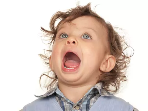 Excision des amygdales