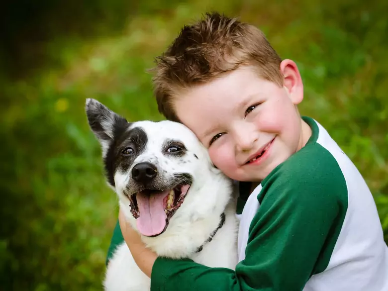 Fente labiale et palatine