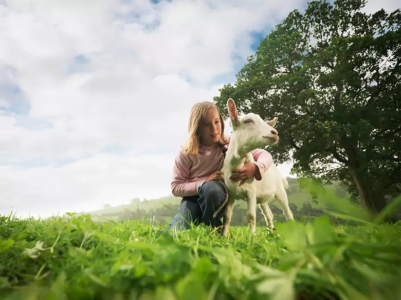 Le lait de chèvre chez un enfant allergique