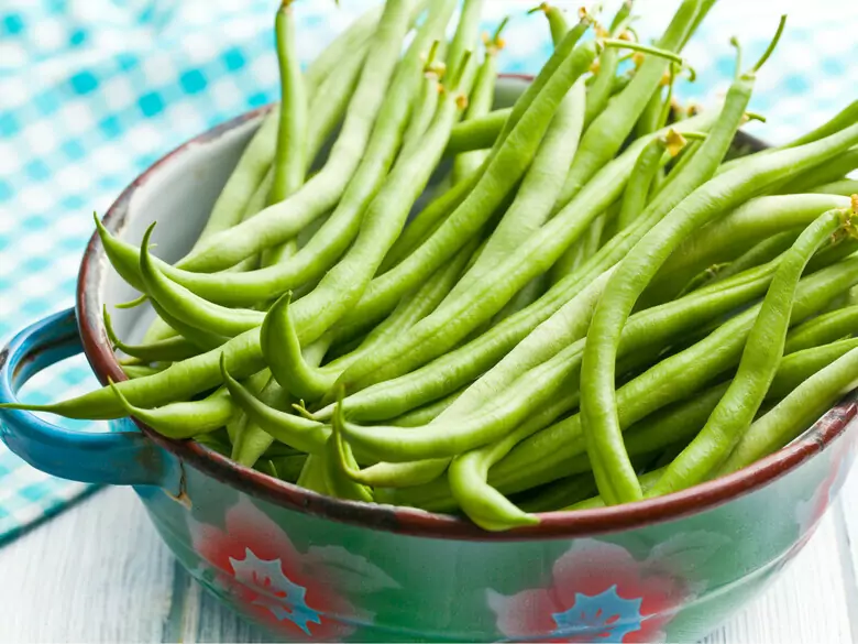 Quels sont les avantages de la consommation de haricots ?