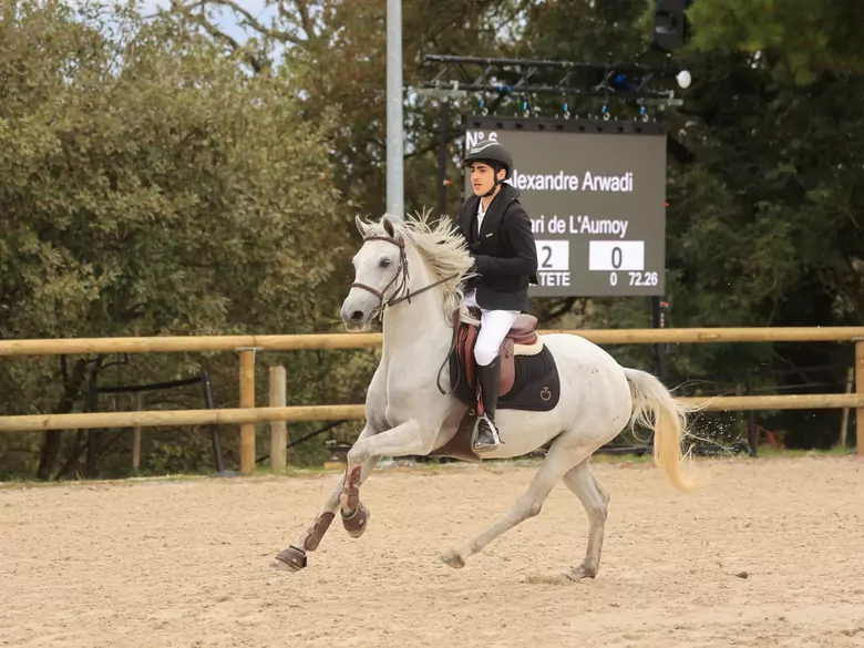 Quels sont les avantages de la pratique de l'équitation ?