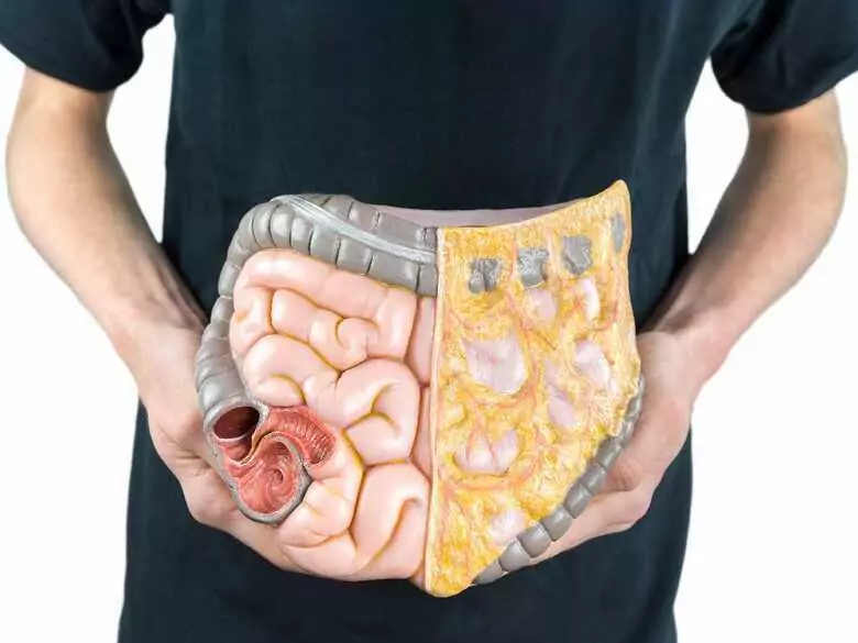 Qu'est-ce que le régime FODMAP et pour qui est-il recommandé ?