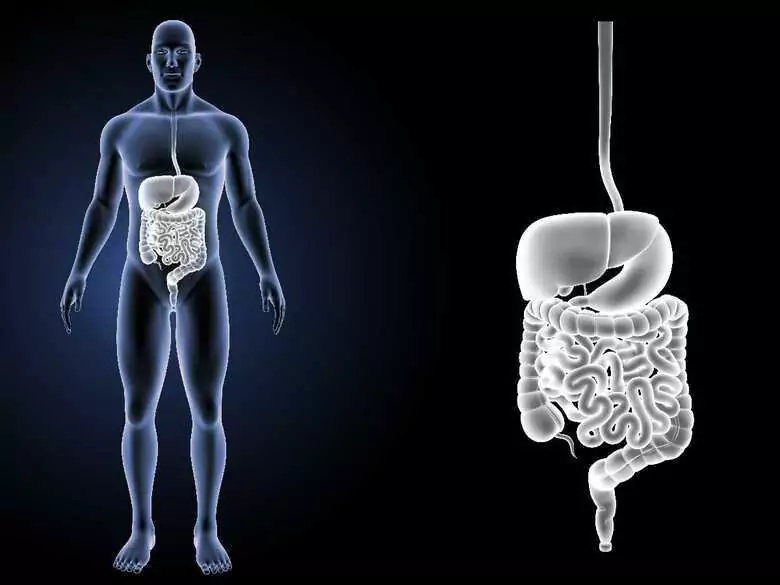 Préparation à une coloscopie - comment se déroule-t-elle et à quoi dois-je faire attention ?