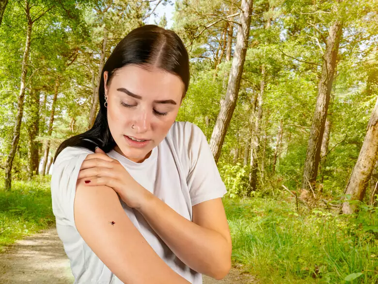 Quels sont les symptômes de la maladie de Lyme ?