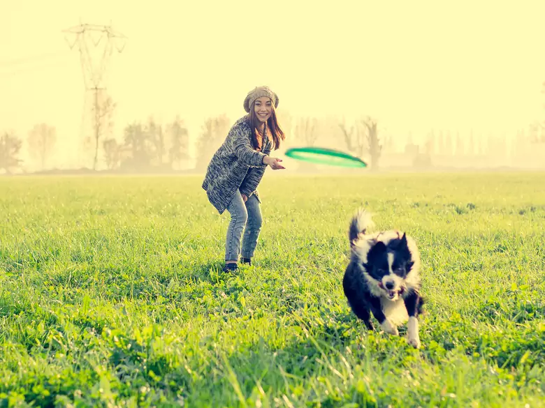 Les animaux aiment-ils vraiment les hommes ?