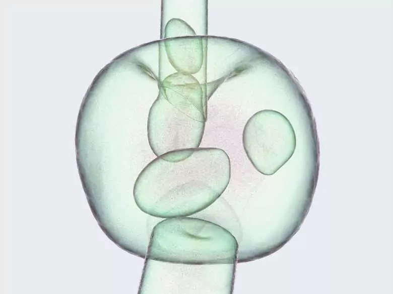 Des scientifiques tchèques ont découvert une nouvelle façon d'administrer un médicament directement dans une cellule !