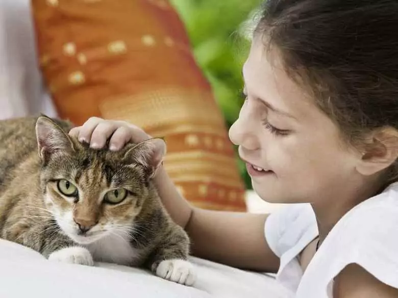 Les enfants qui ont des animaux à la maison sont-ils moins sujets aux allergies ?