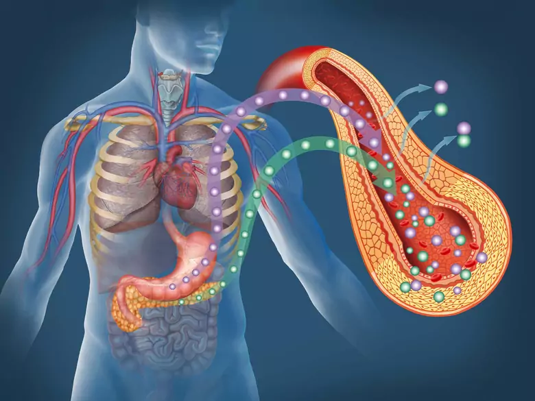 Anomalies des artères coronaires