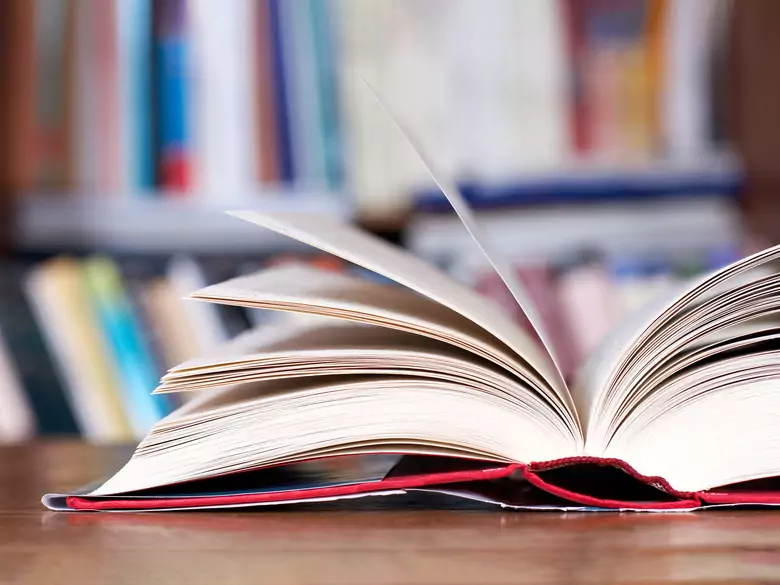 Profils de psychiatres polonais : Maria Orwid