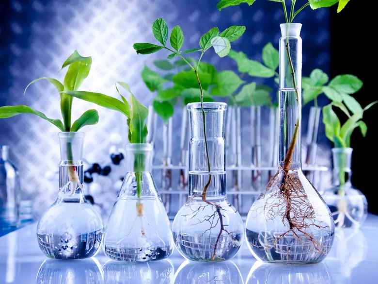 Une nouvelle possibilité de traitement pour les maladies dermatologiques, cardiaques et gynécologiques !