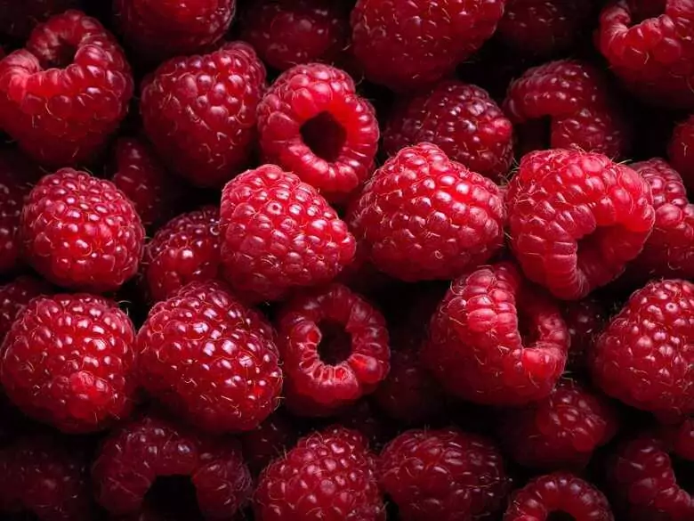 Quels sont les avantages de la consommation de framboises ?