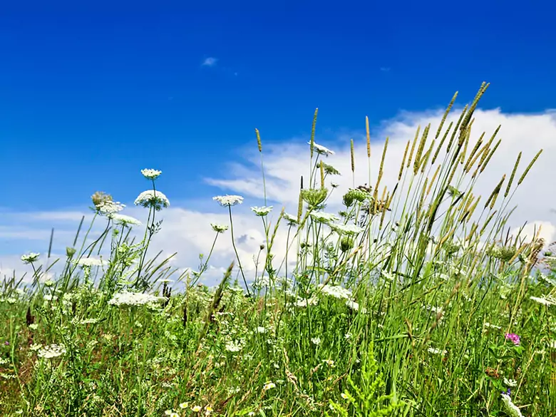 Paintball - un jeu où l'on peut perdre la vue ?