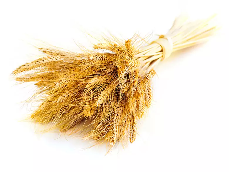 Allergie alimentaire - causes, symptômes, diagnostic, traitement, lésions cutanées