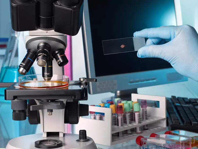 Méthodes d'analyse des chromosomes