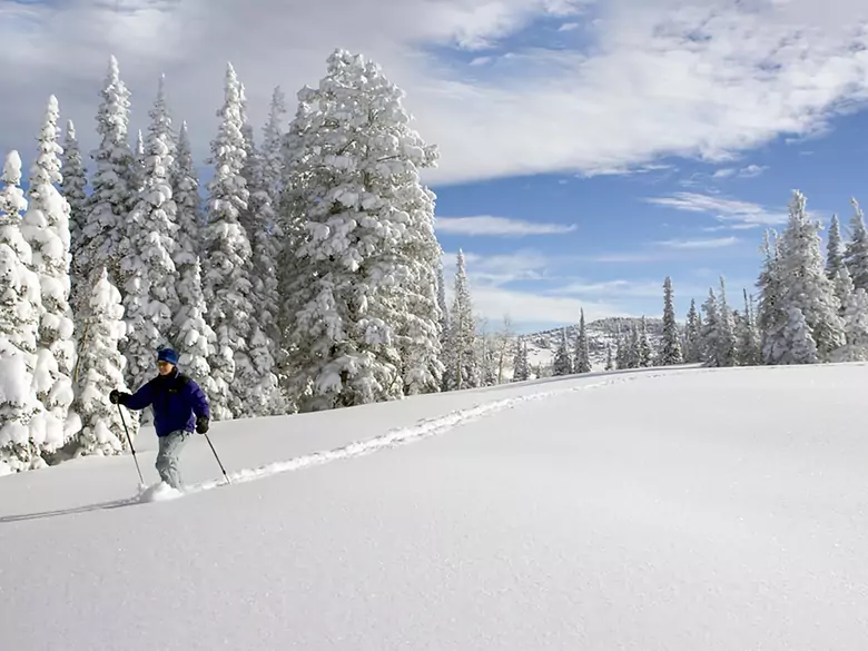 L'alimentation sur les pistes