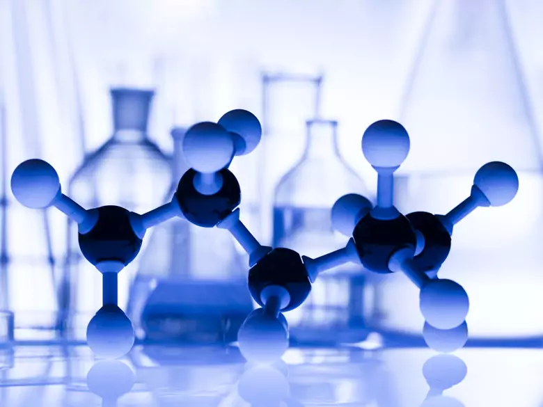 Les bioéléments, les éléments de la vie - quel rôle jouent-ils dans l'organisme ?