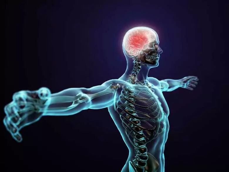 Les troubles du spectre autistique sont-ils plus fréquents chez les personnes dont le cerveau est anatomiquement masculin ?