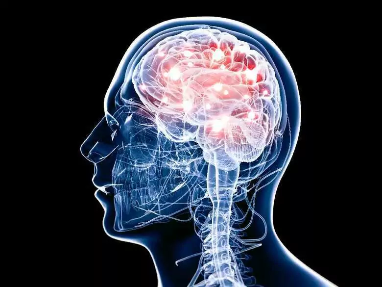 Quelles sont les causes des hallucinations ?