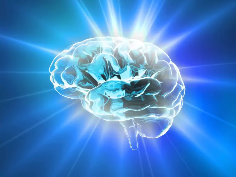 La perception des couleurs est plus limitée qu'on ne le pensait auparavant