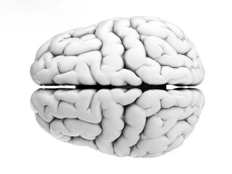 Acidose glutarique - qu'est-ce que c'est et quels sont ses effets ?