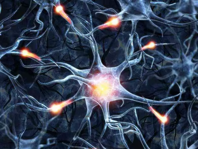 Les cellules souches peuvent-elles guérir ?