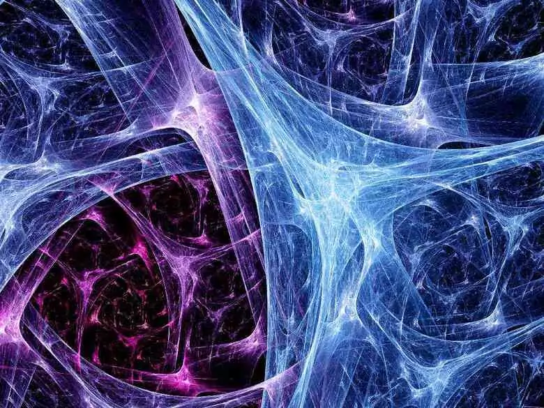 Affections dermatologiques associées à des troubles du système nerveux