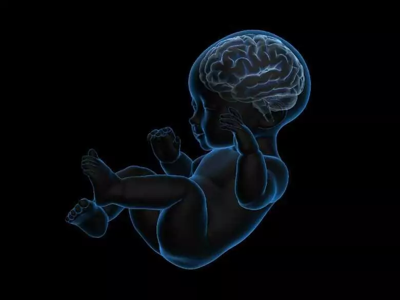 Troubles du développement neurologique - ce que cela signifie et ce à quoi il faut faire attention lorsque l'on observe le développement d'un enfant
